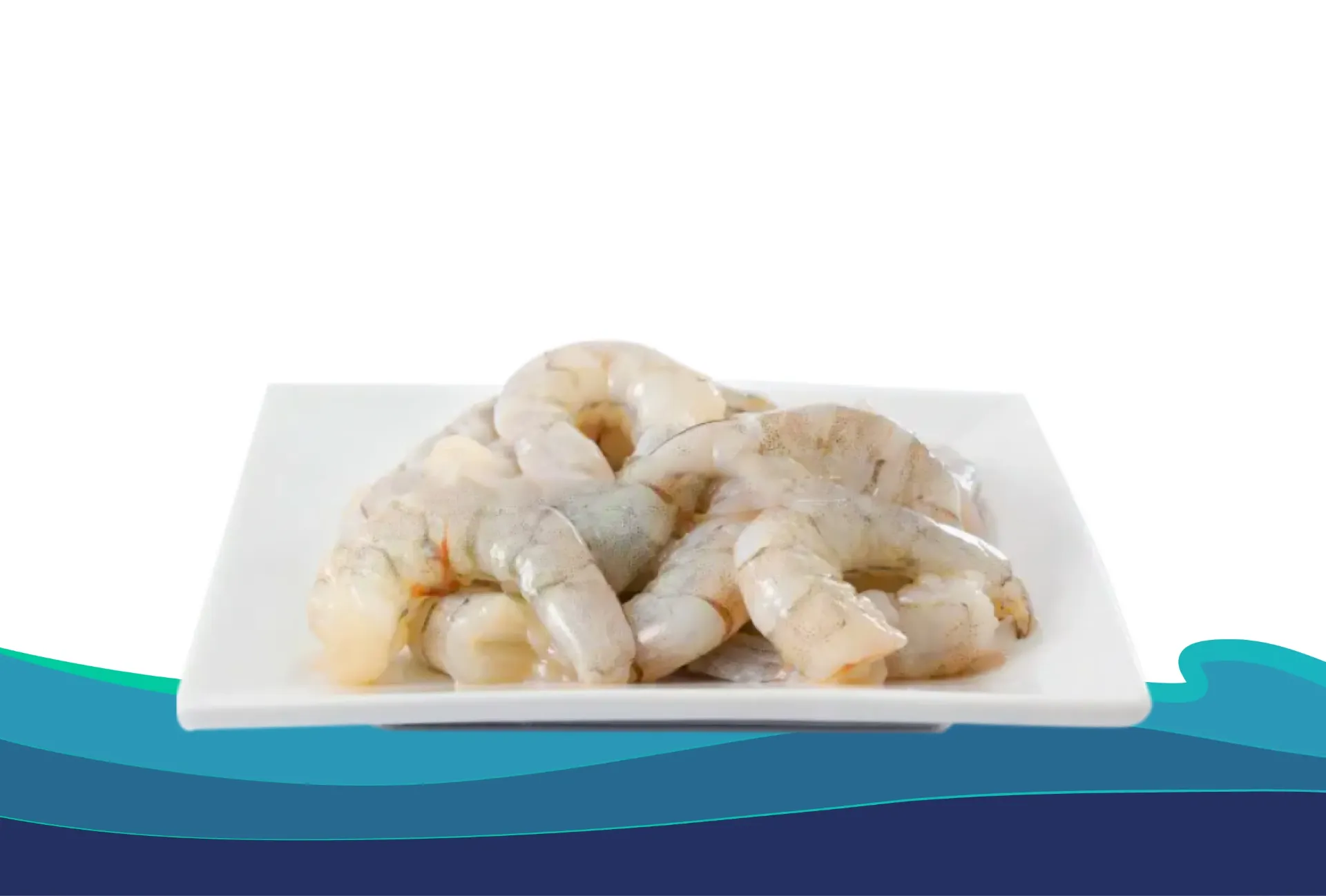 [CC02030C] CAMARÒN DE CULTIVO 20-30