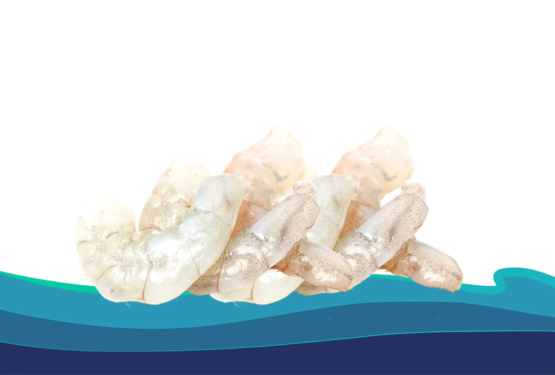 [CC03040C] CAMARÒN DE CULTIVO 30-40