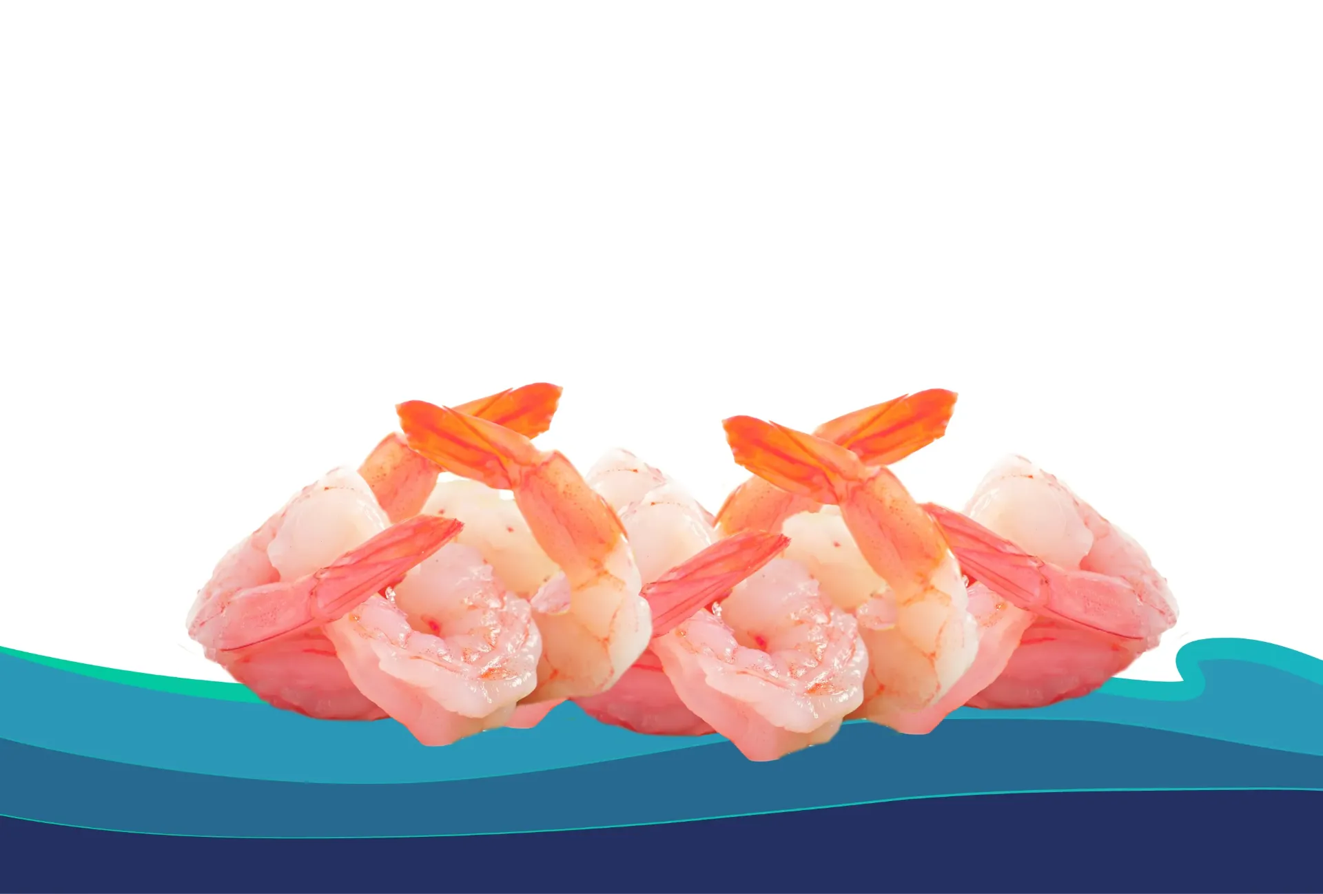 [CC02125B] CAMARÓN C. 21-25 BTR